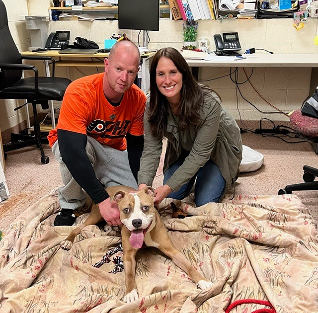 couple and paralyzed dog