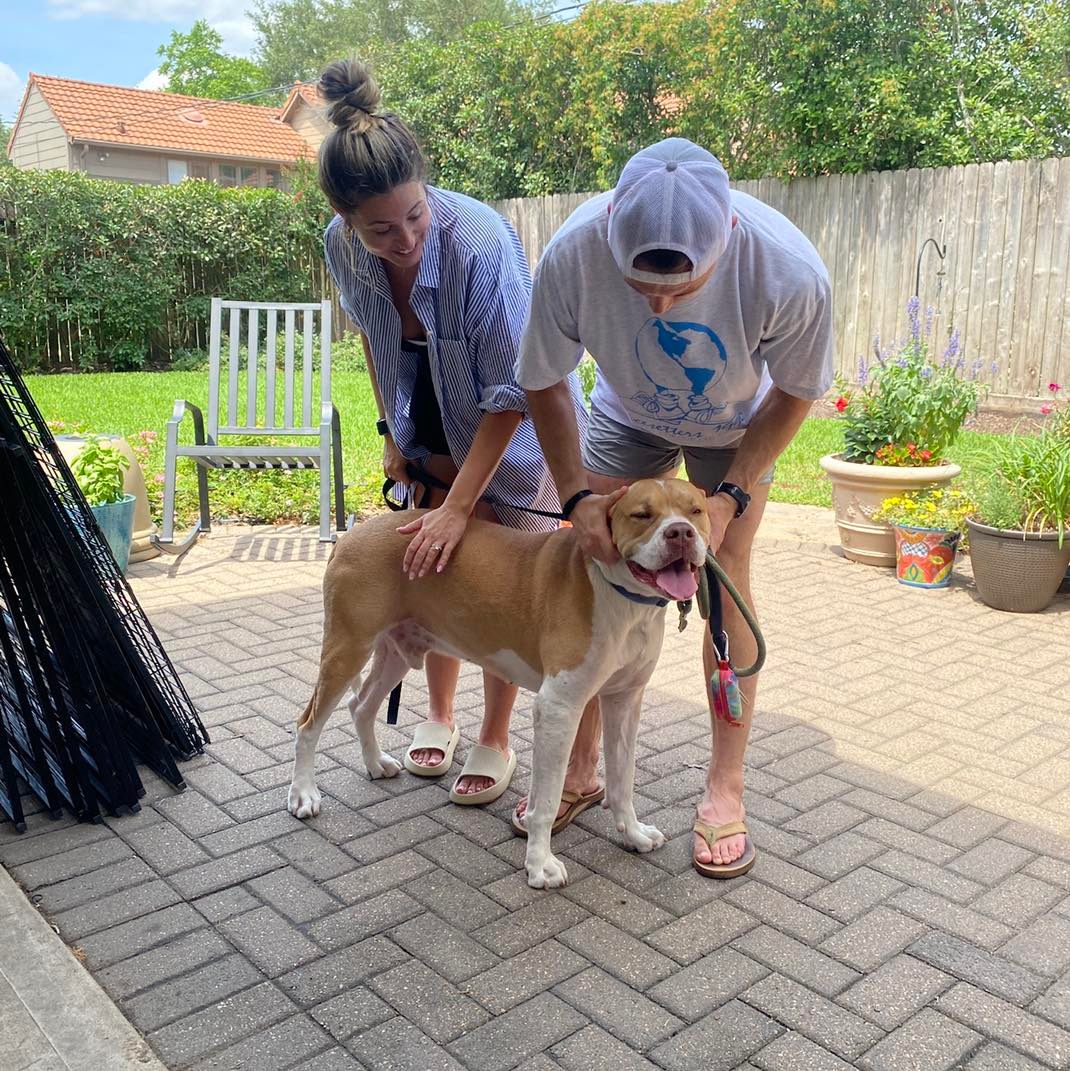 couple and sweet dog