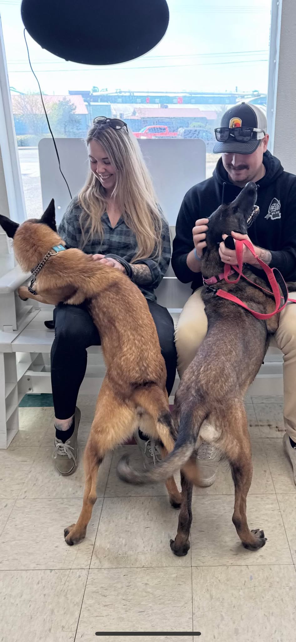 couple and two dogs