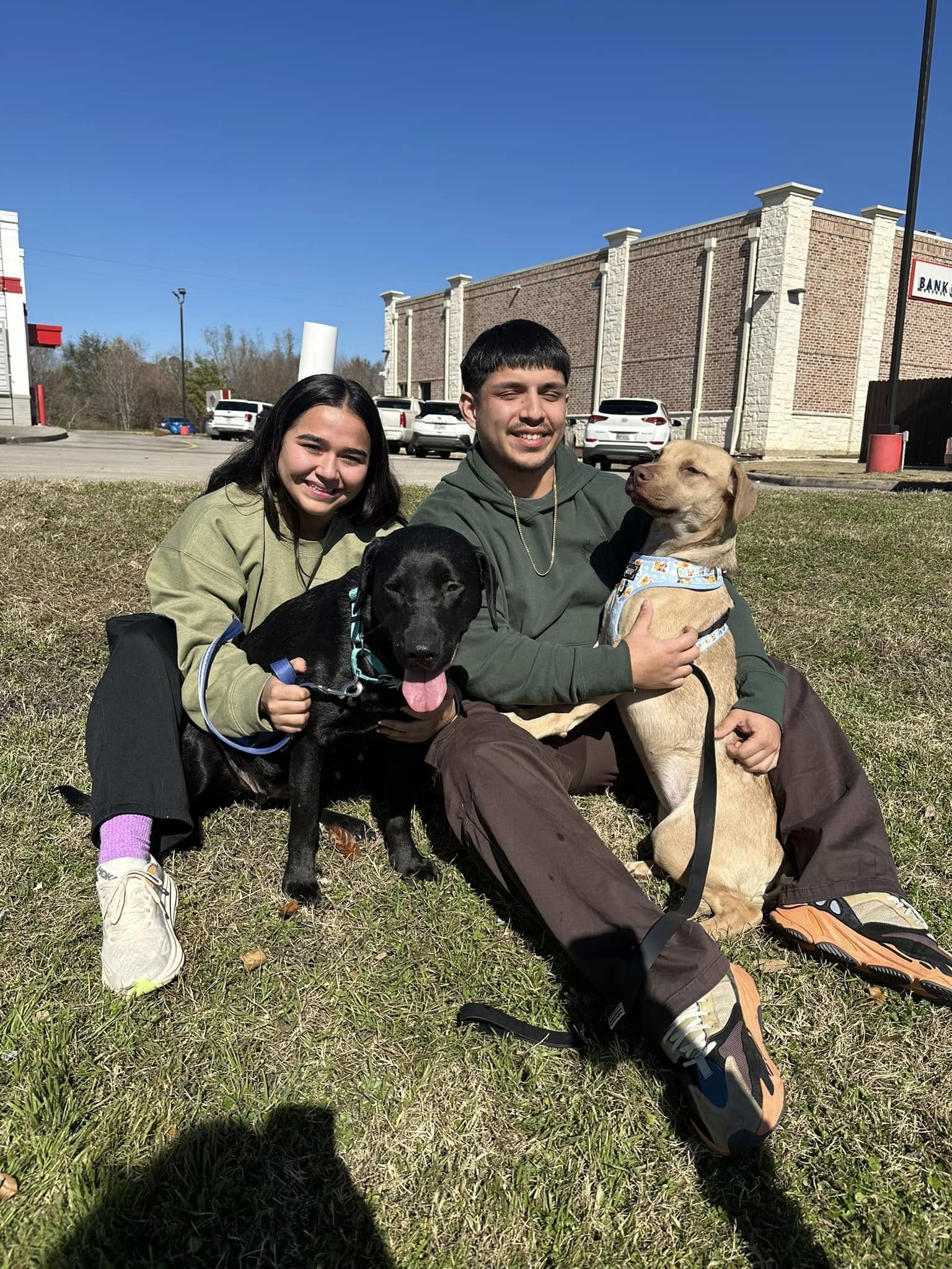 couple and two dogs