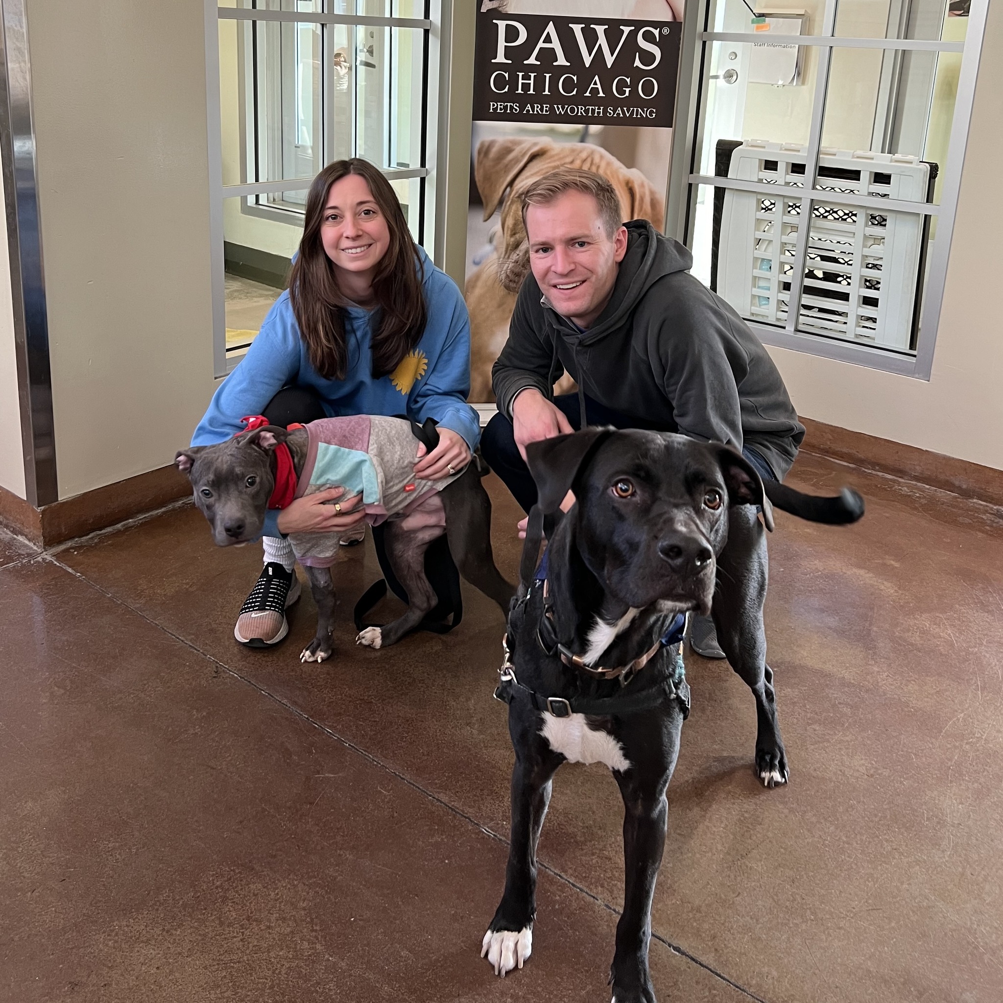 couple with two dogs