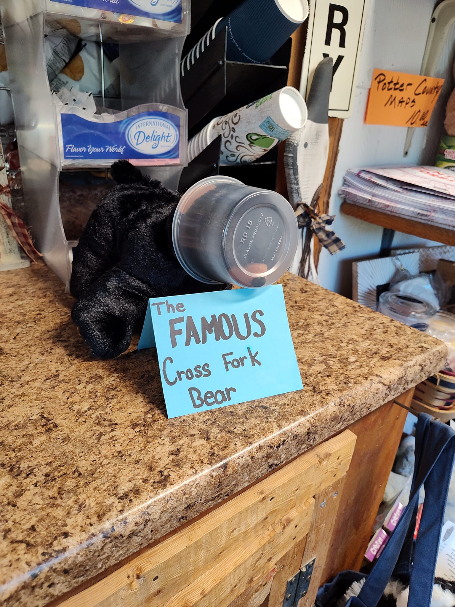 cup on animal head