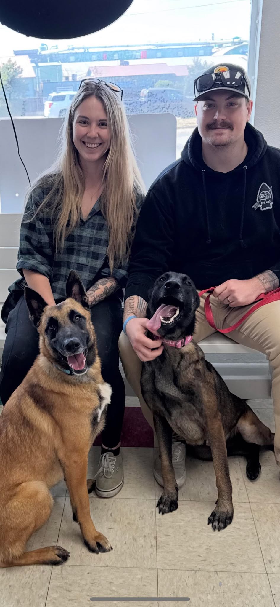 cute dogs and couple