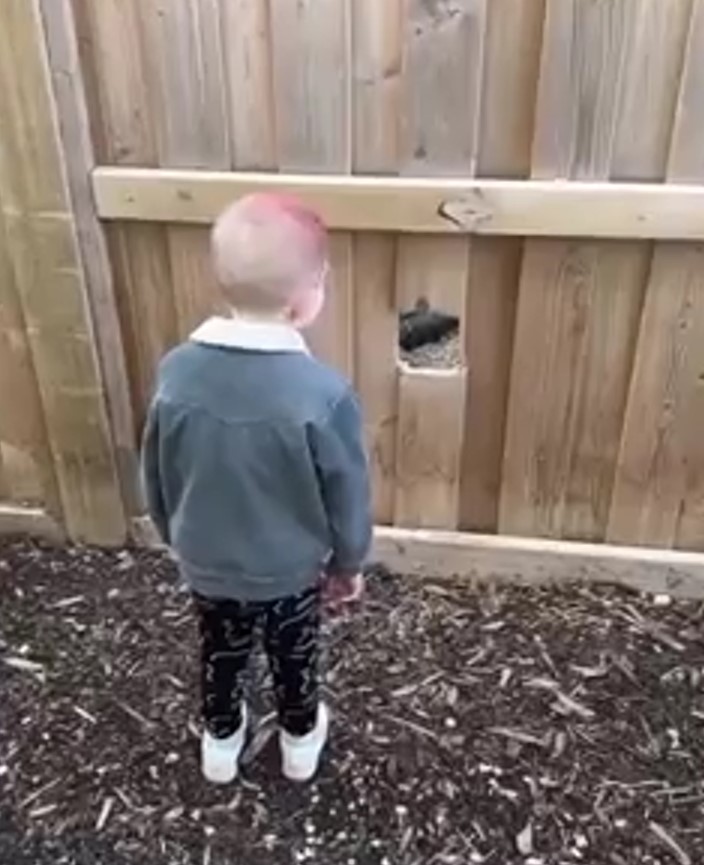 cute kid