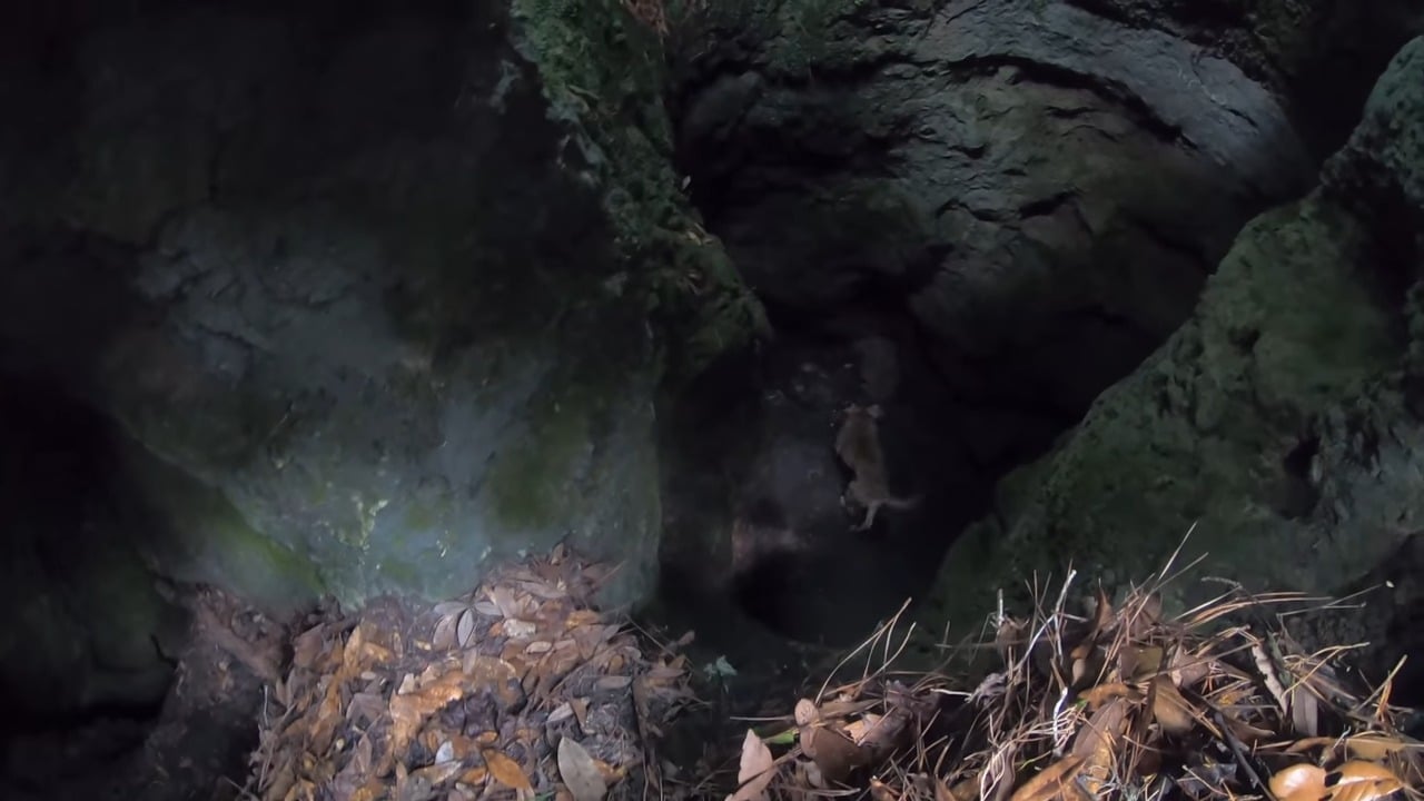 deep cave