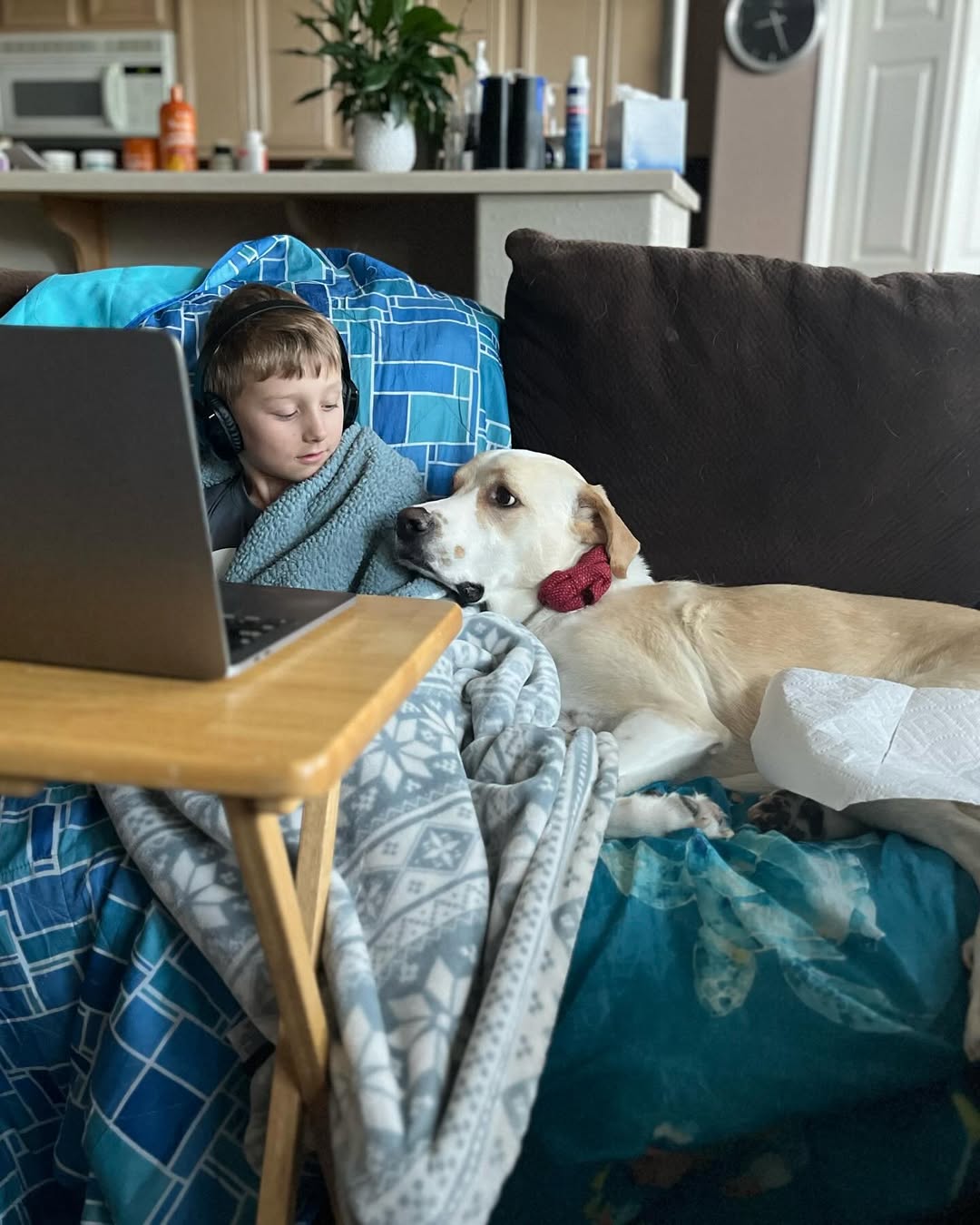 dog and kid