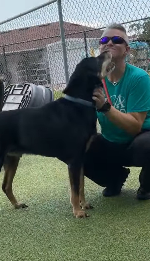 dog and man