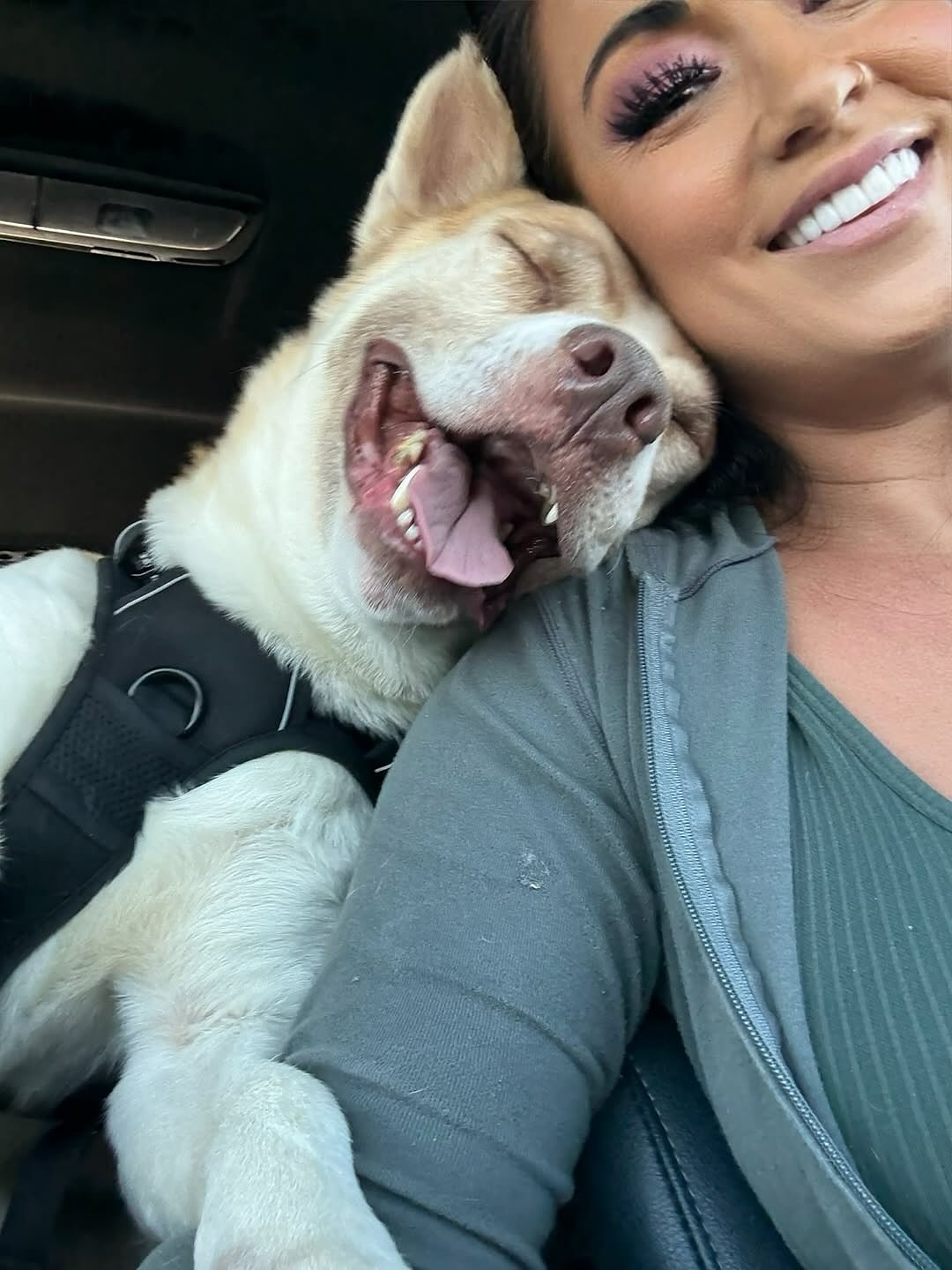 dog and woman in car