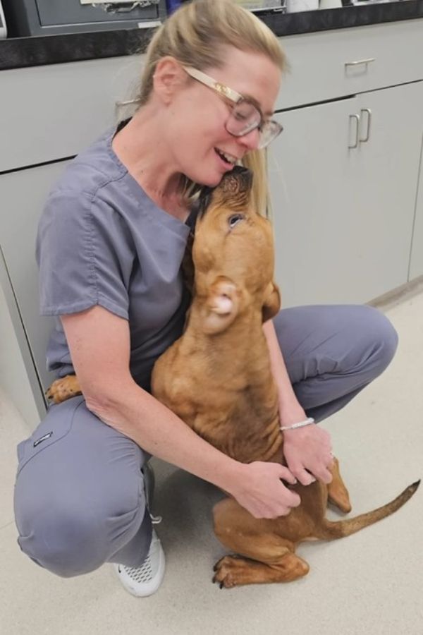 dog licking a veterinarian