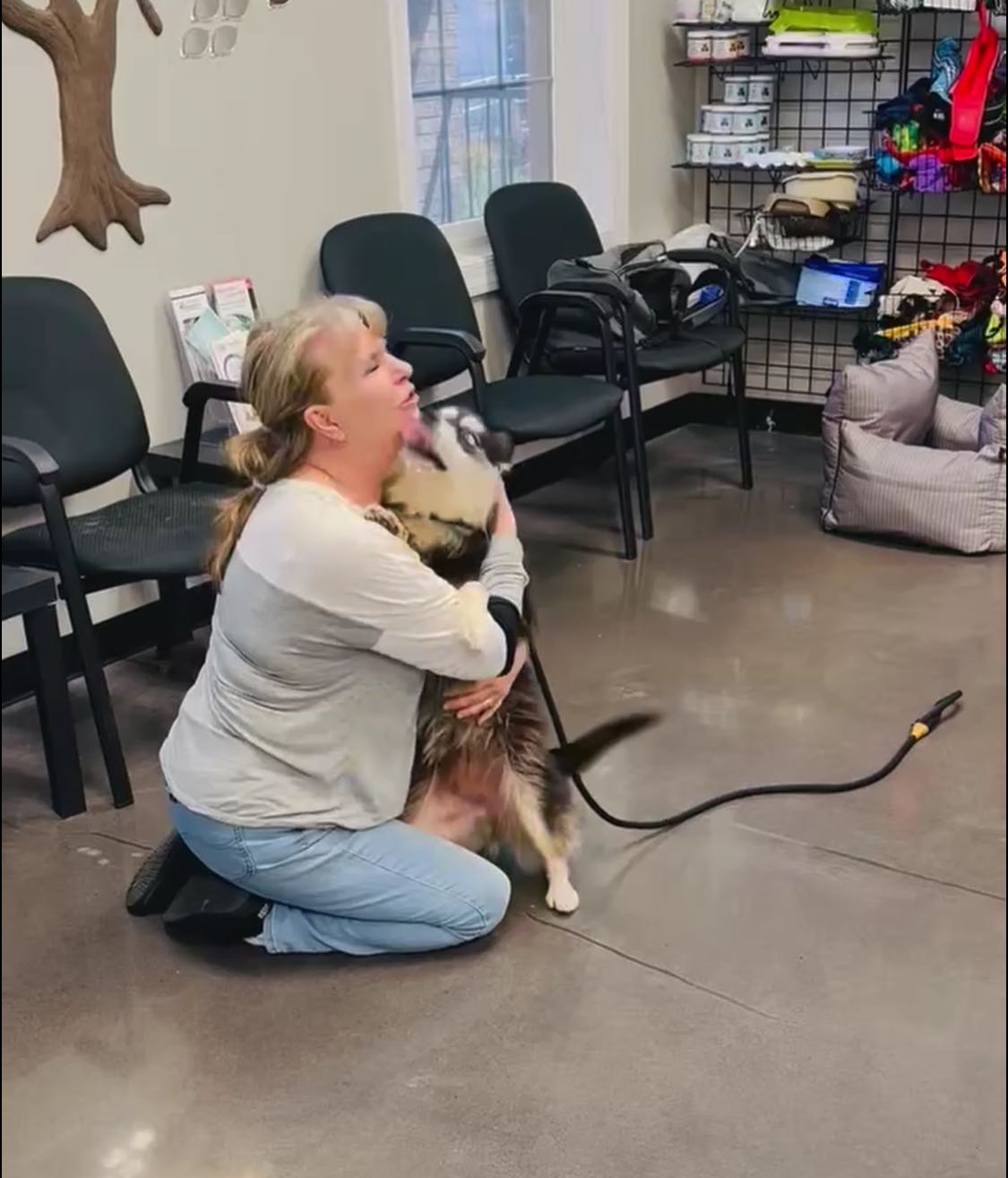 dog licking an owner