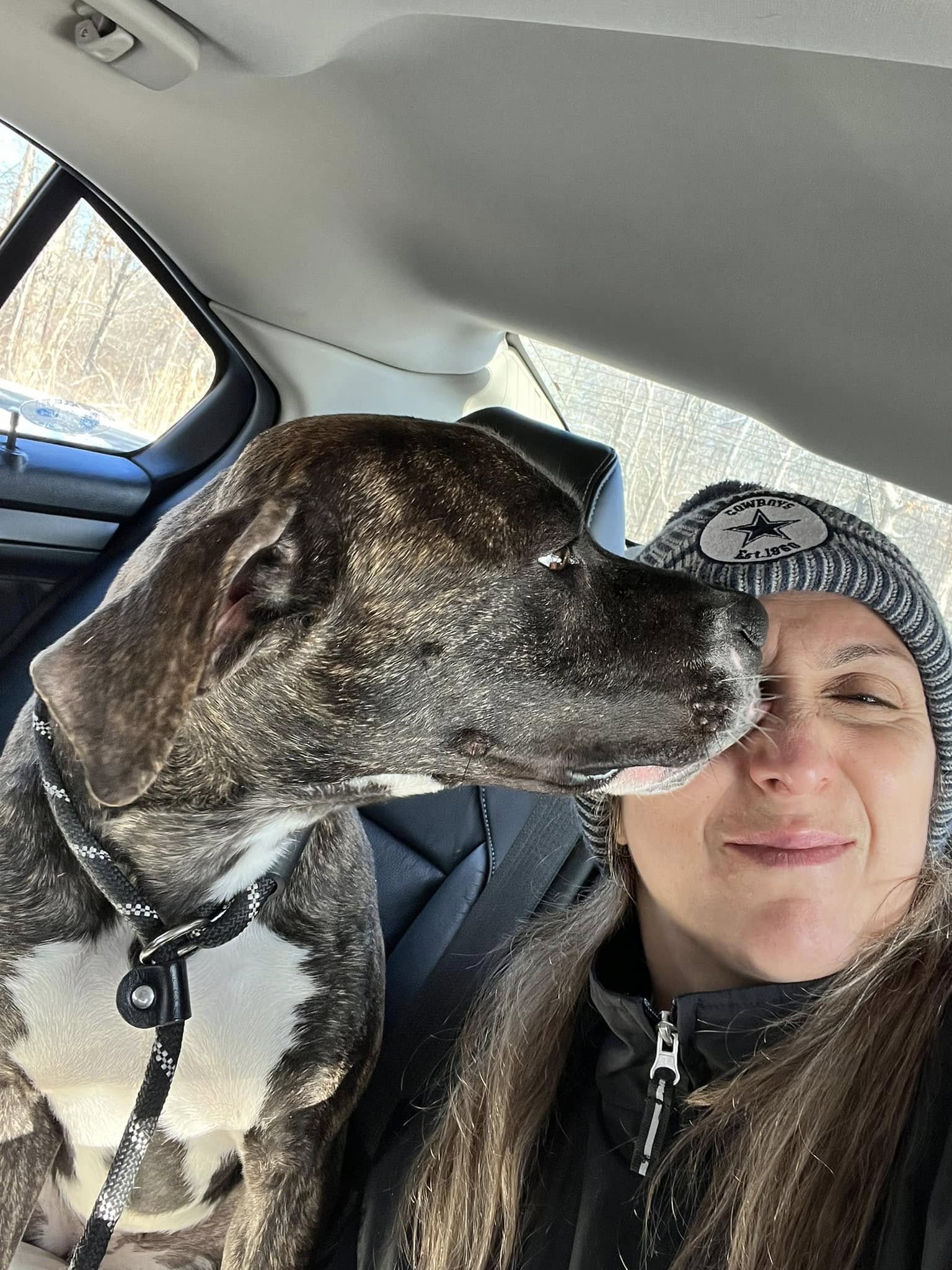 dog licking womans face