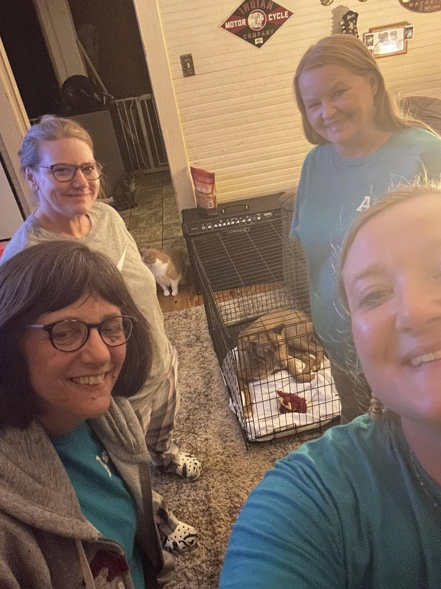 dog saved in crate