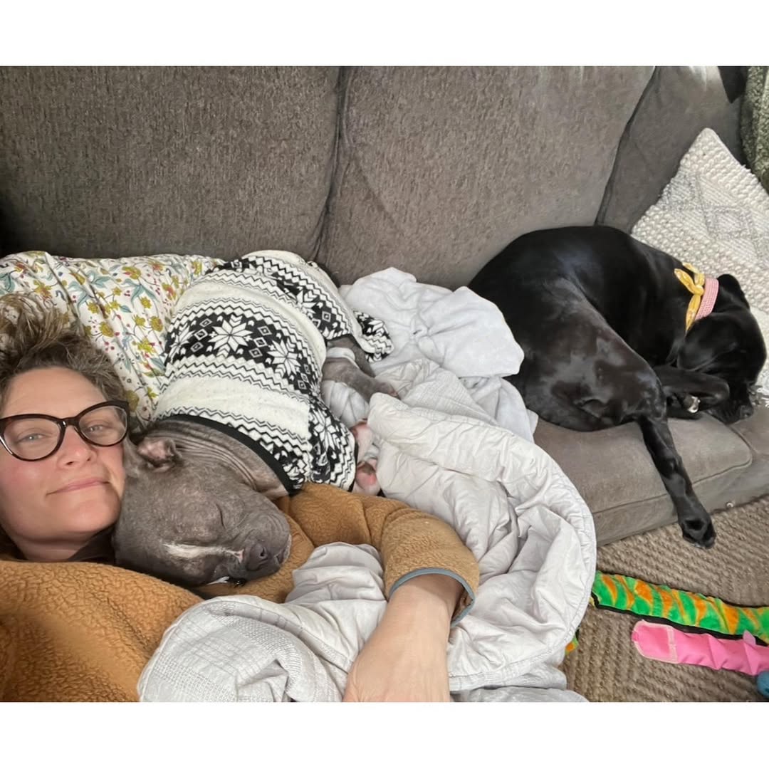 dog sleeping near dog