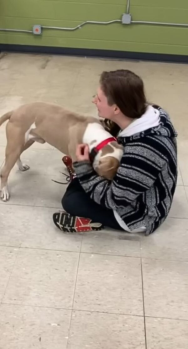 dog with a girl