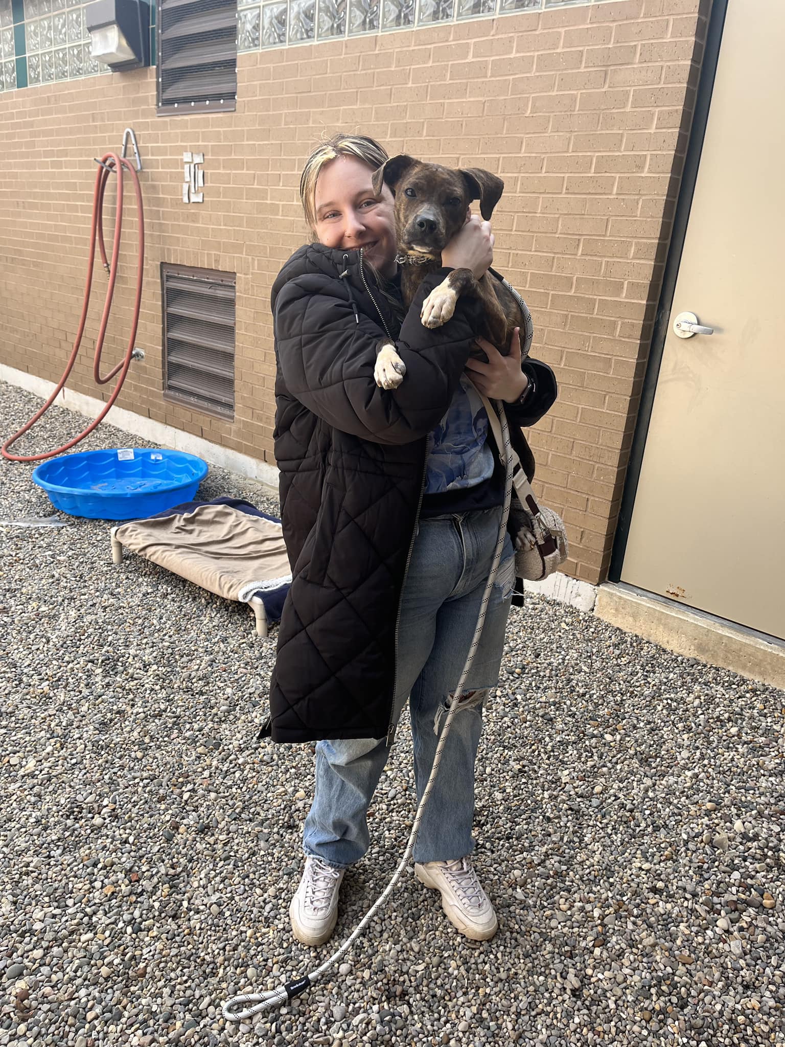 dog with a new mom
