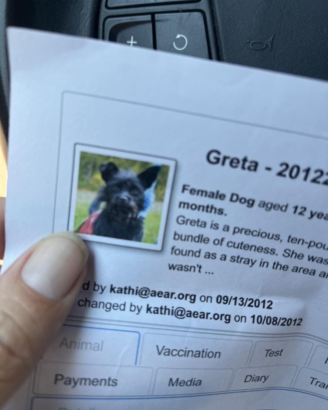 dogs ID