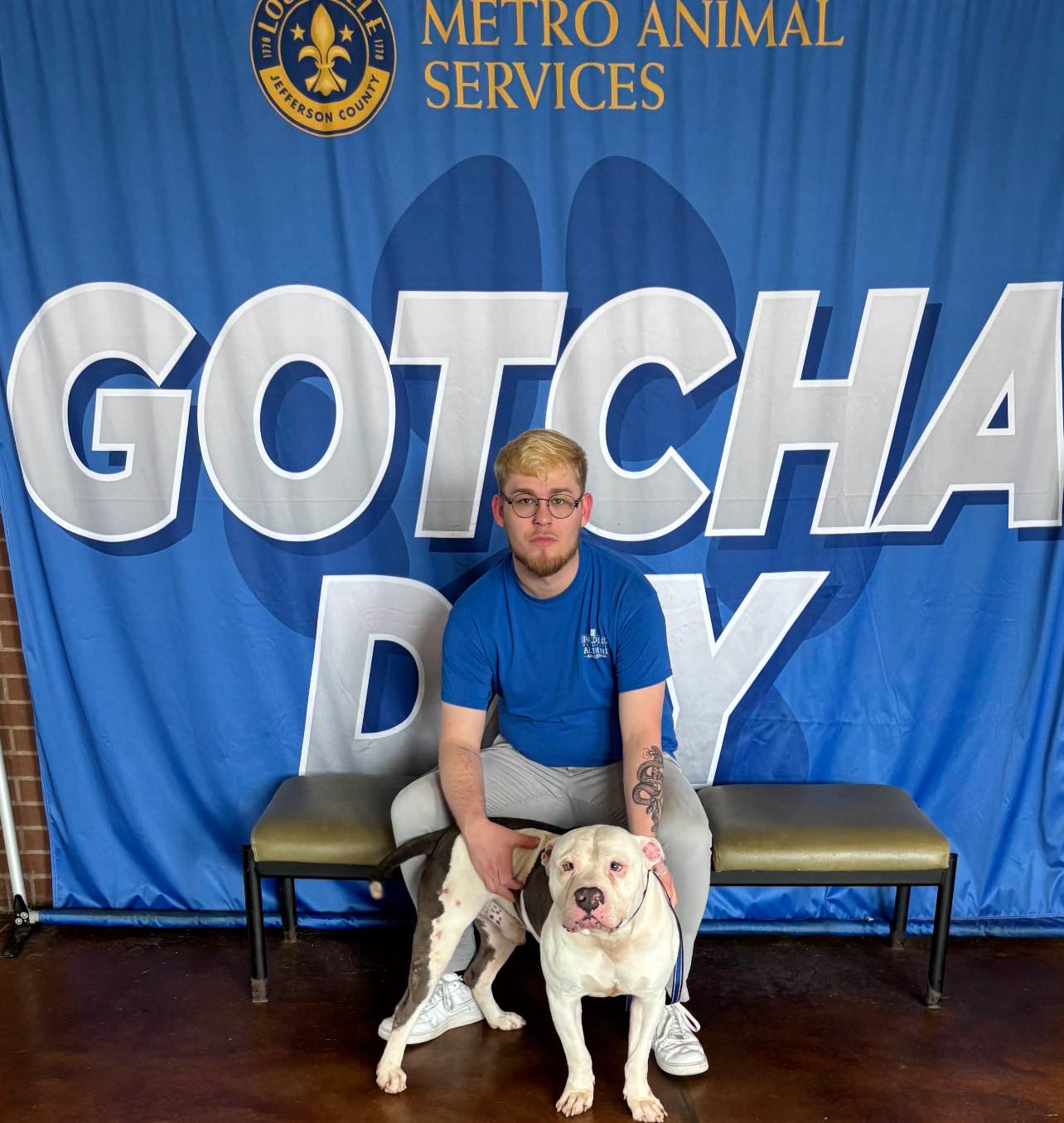 dog's gotcha day