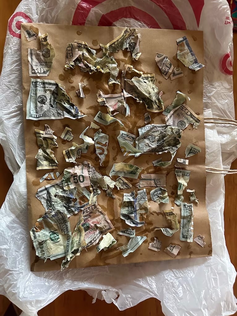 eaten money