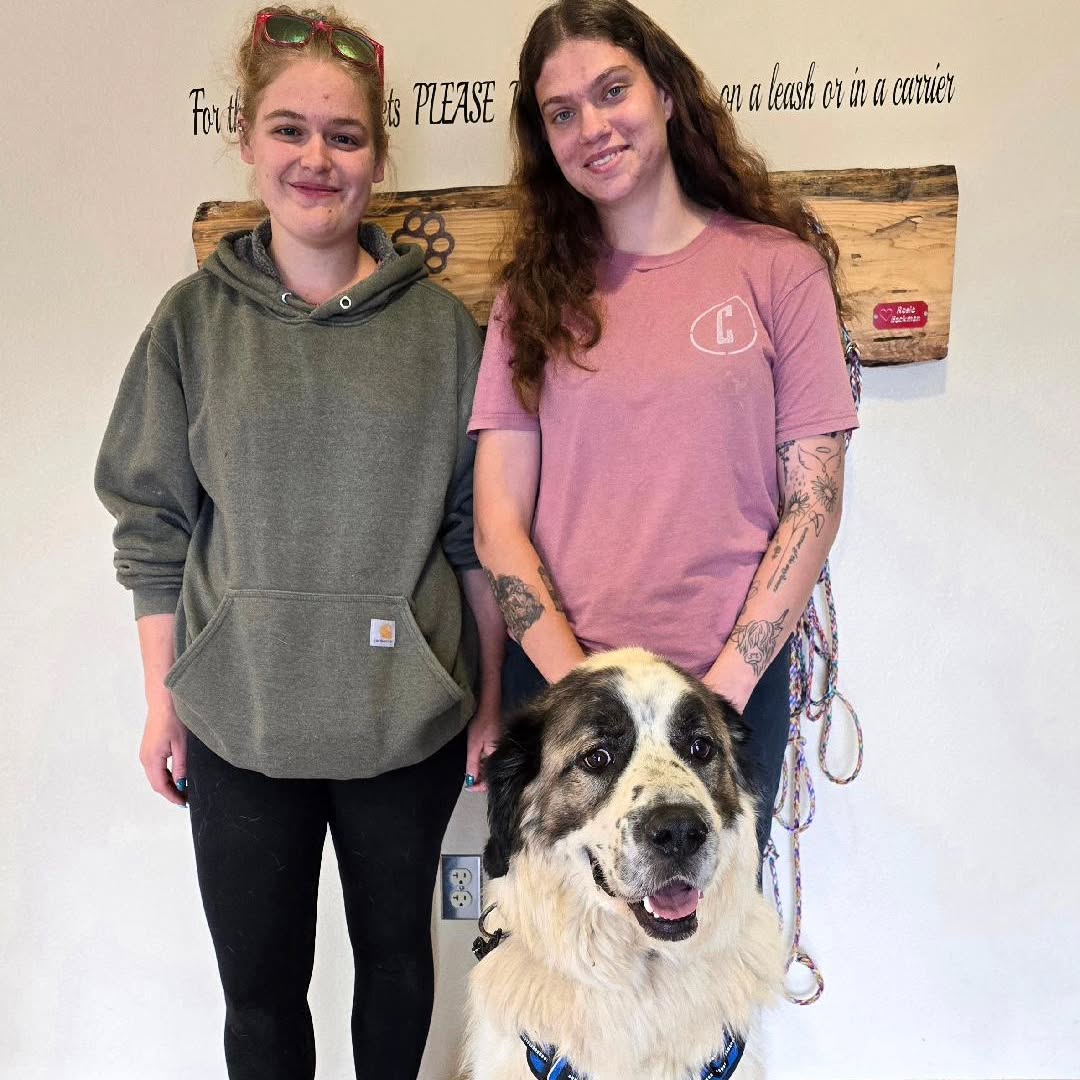 girls and dog