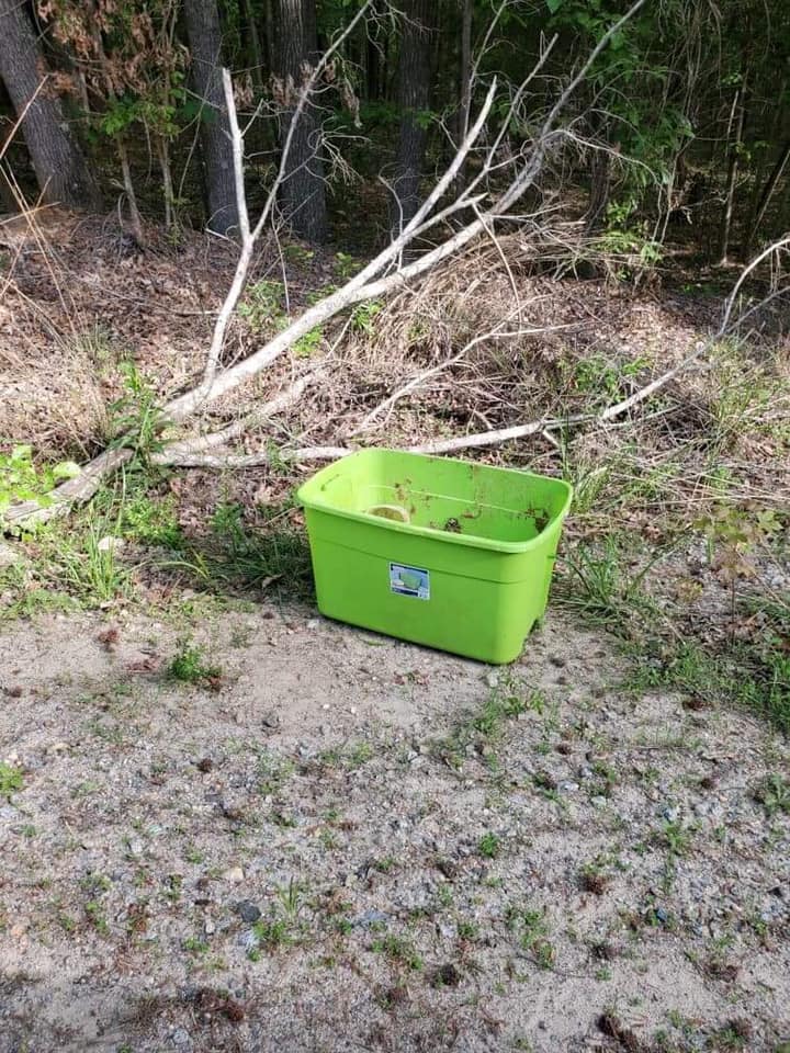 green basket