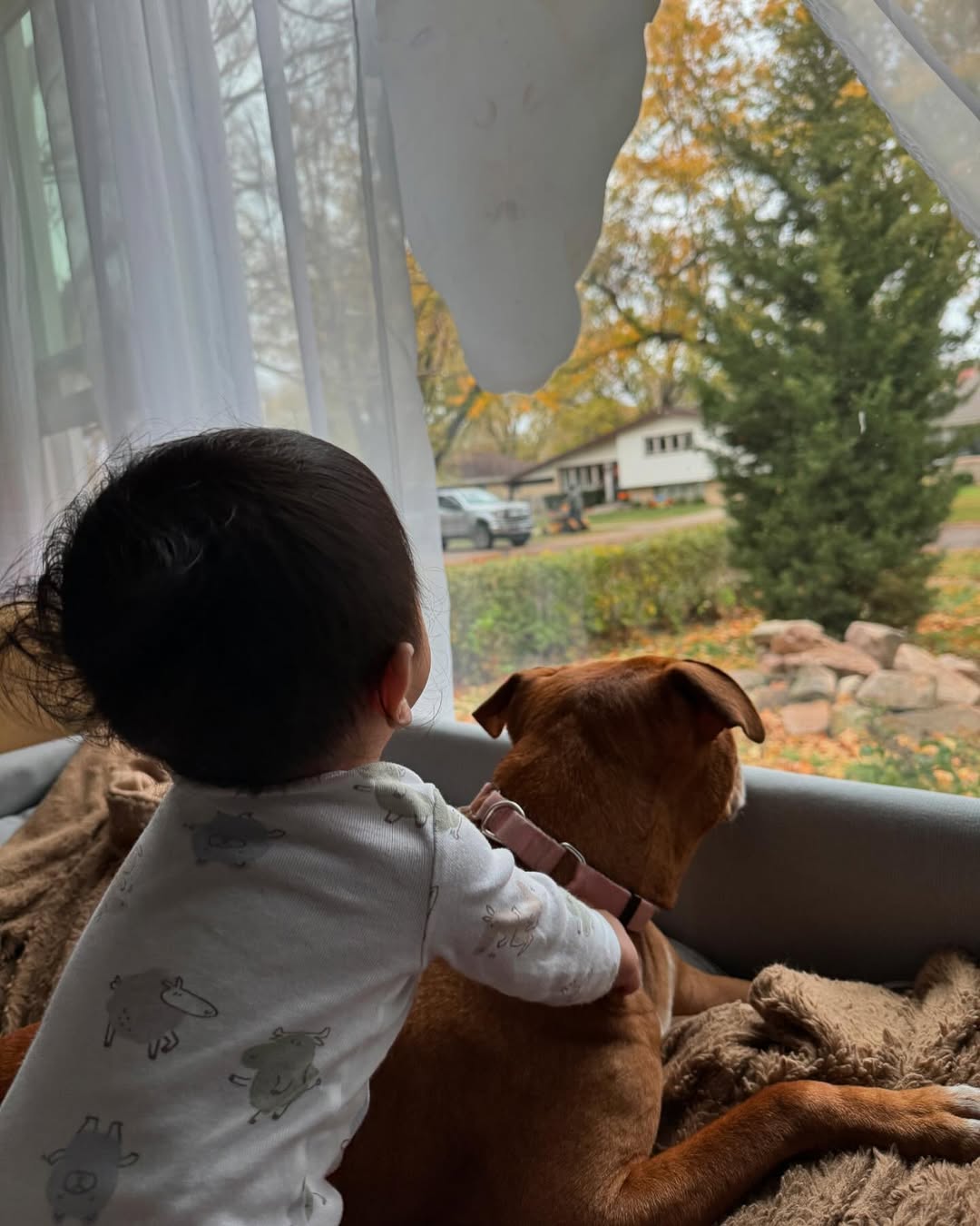 kid and adopted dog