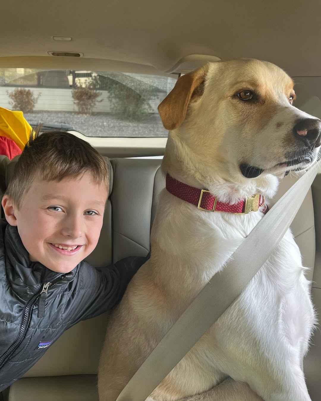 kid and dog