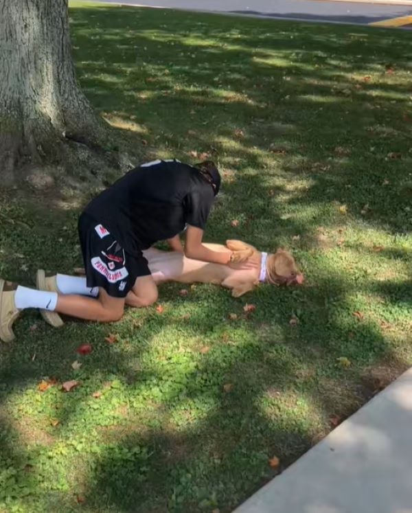 kid and dog playing