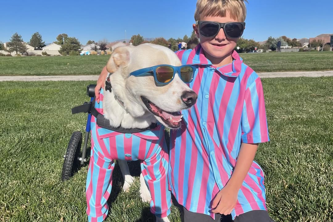 kid and dog with sunglasses
