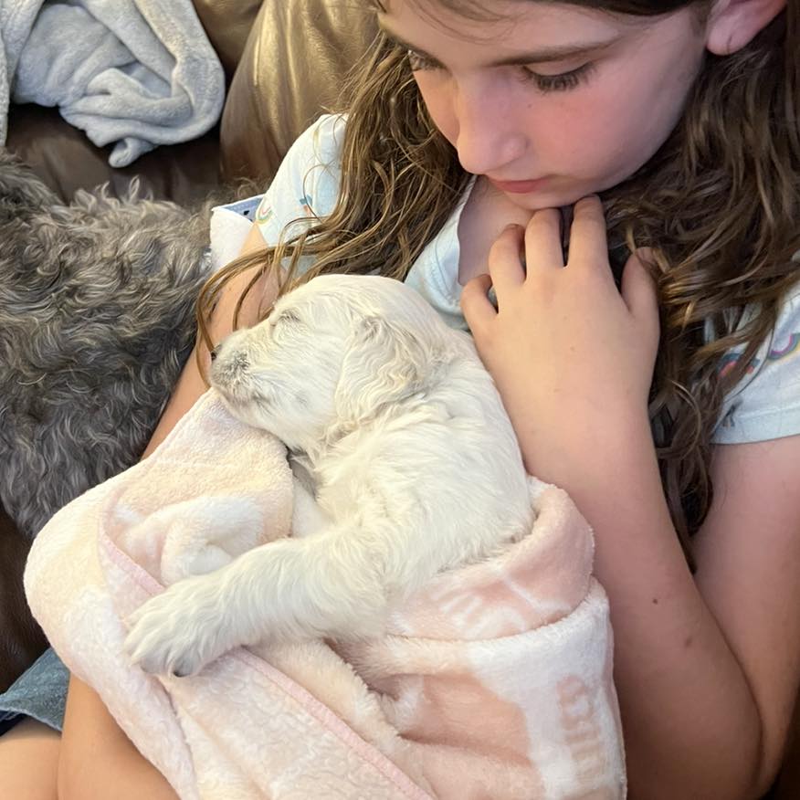 kid and puppy