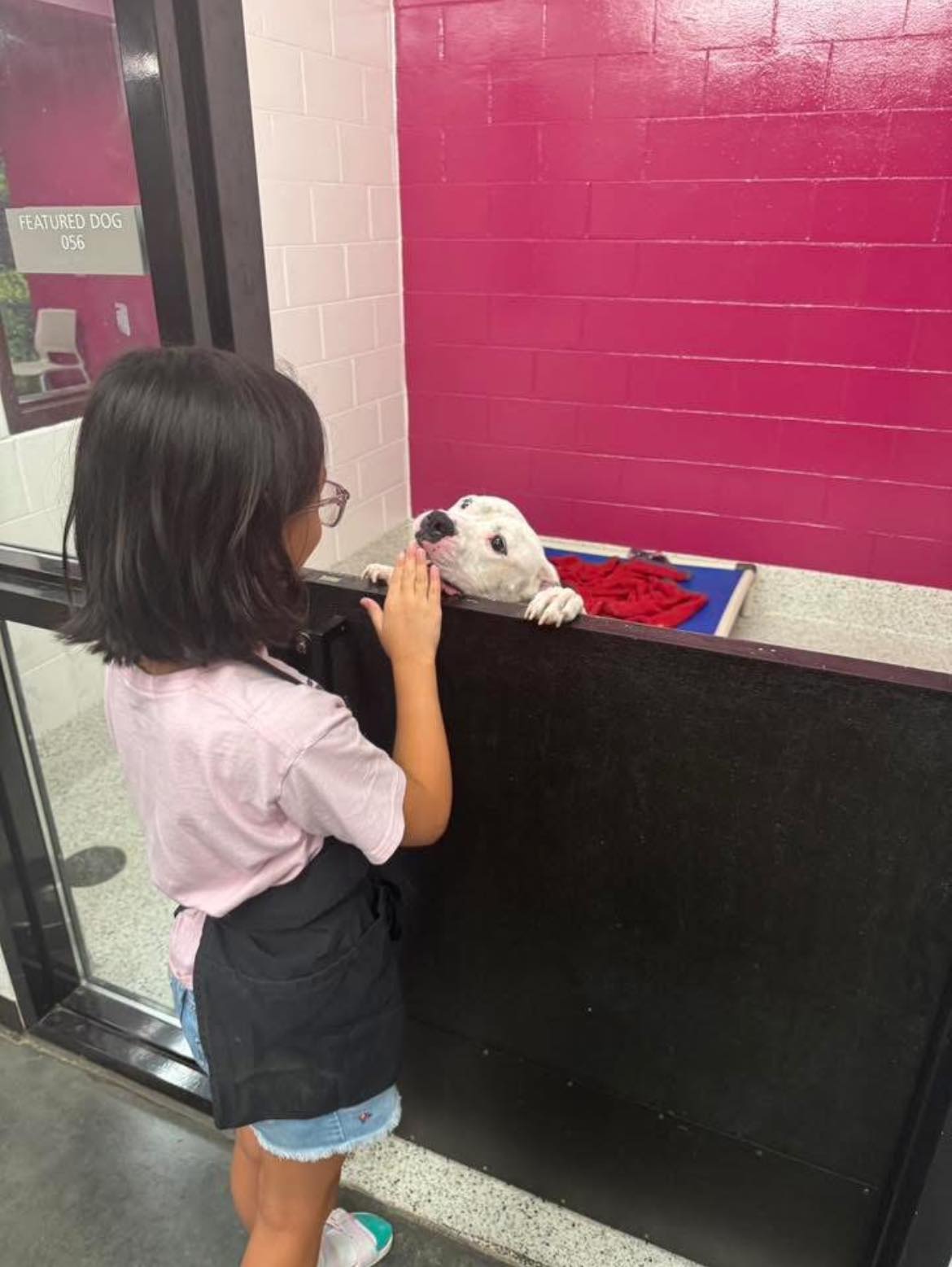kid and shelter dog