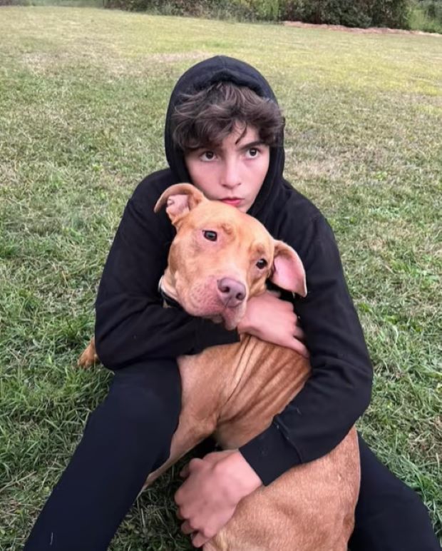 kid hugging a dog