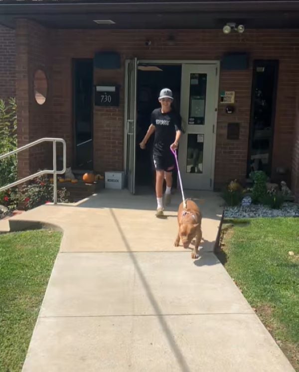 kid walking a dog