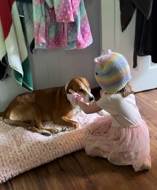 little kid and dog