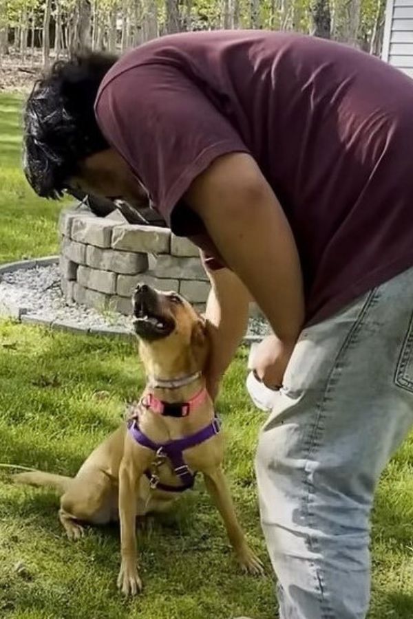 man and a happy dog