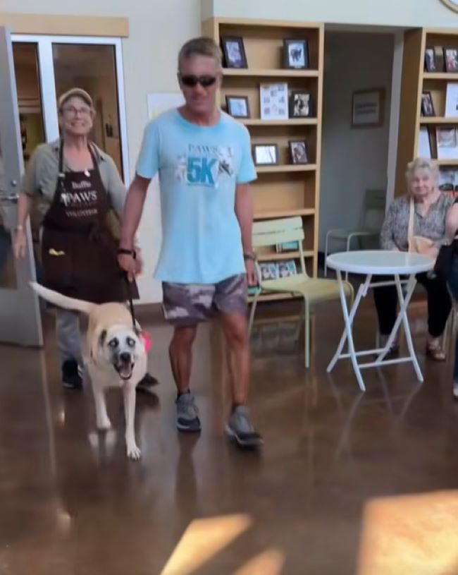 man and adopted dog