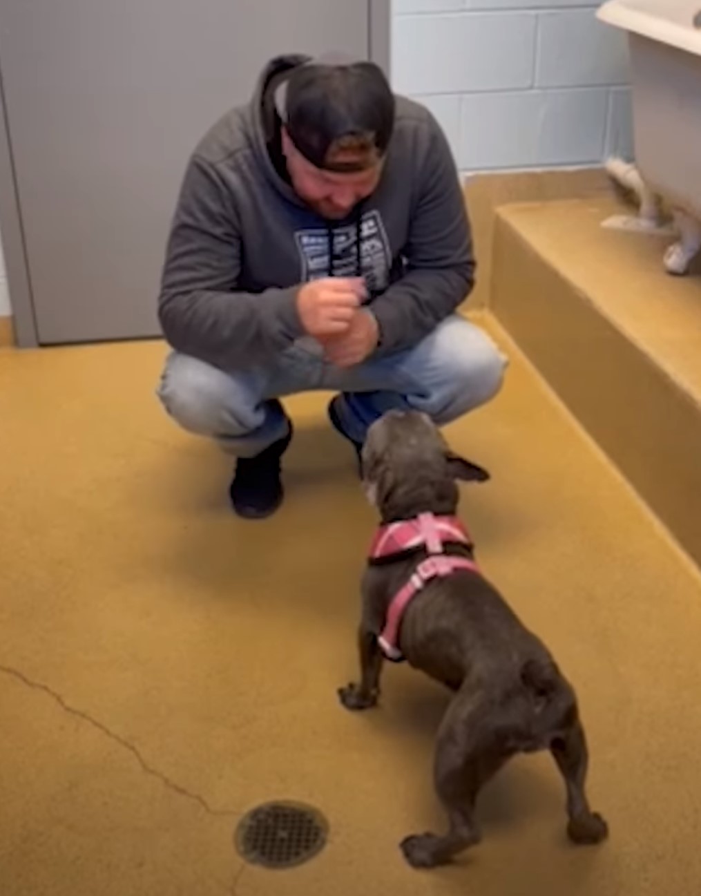 man and adopted dog