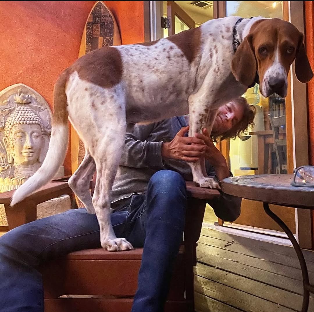 man and big dog