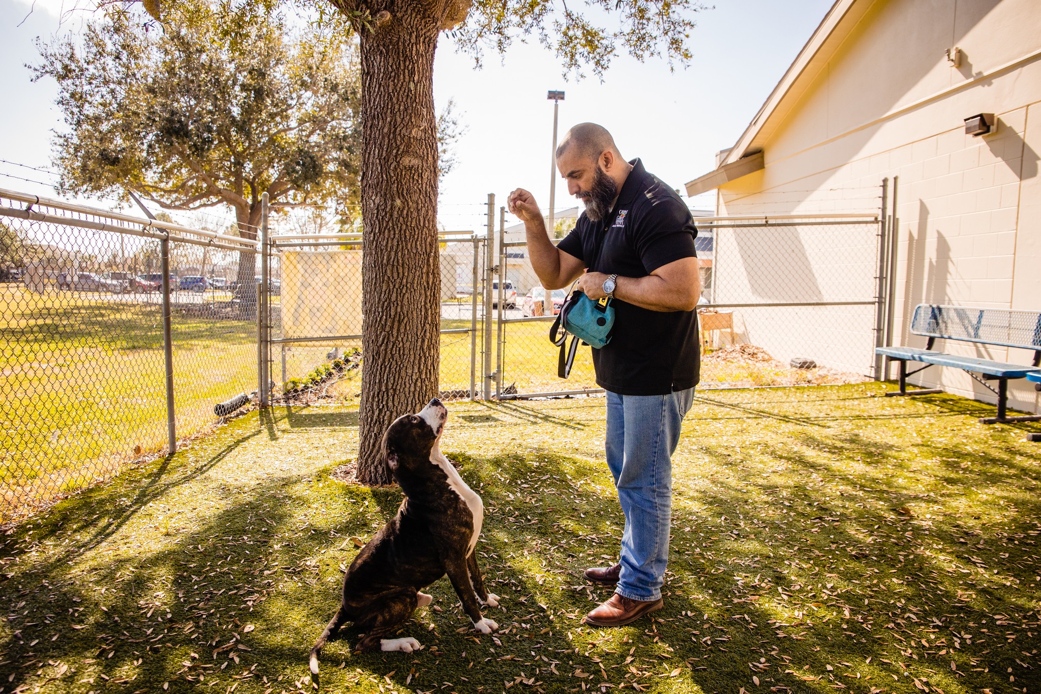 man and black dog
