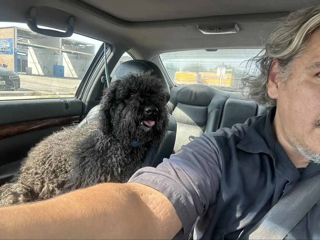 man and black dog in car