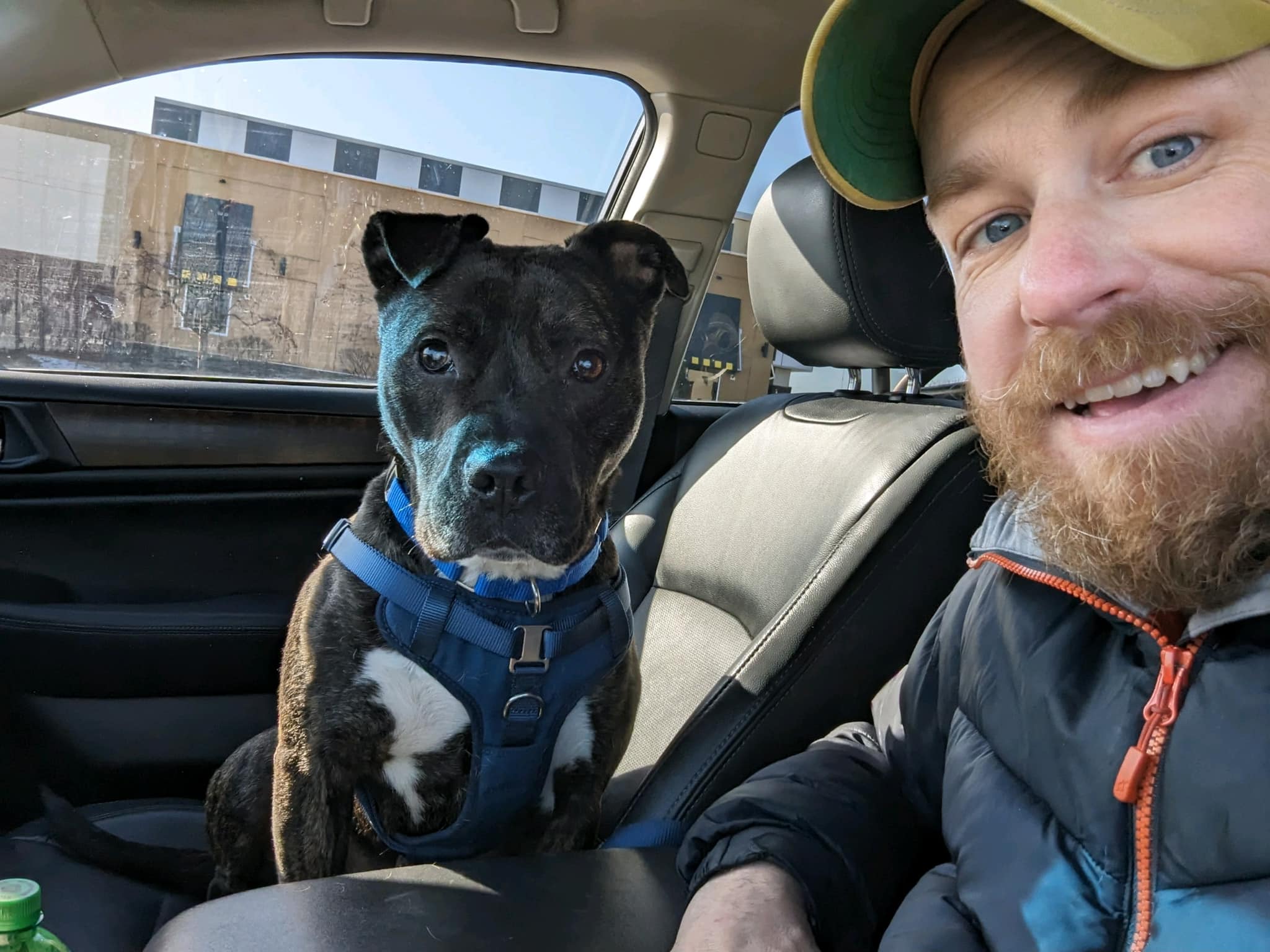 man and black dog in car