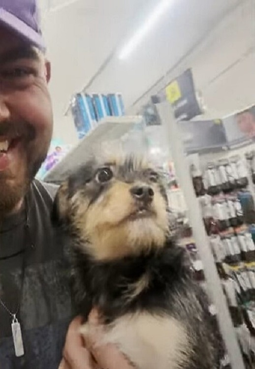 man and dog in store
