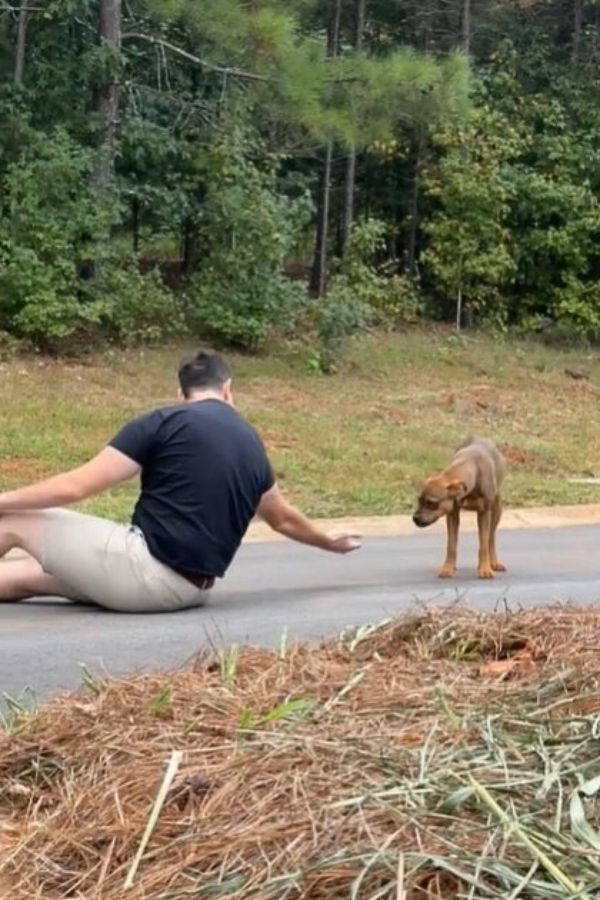 man and dog on street