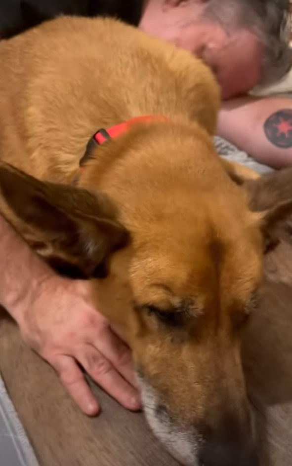 man and dog sleeping
