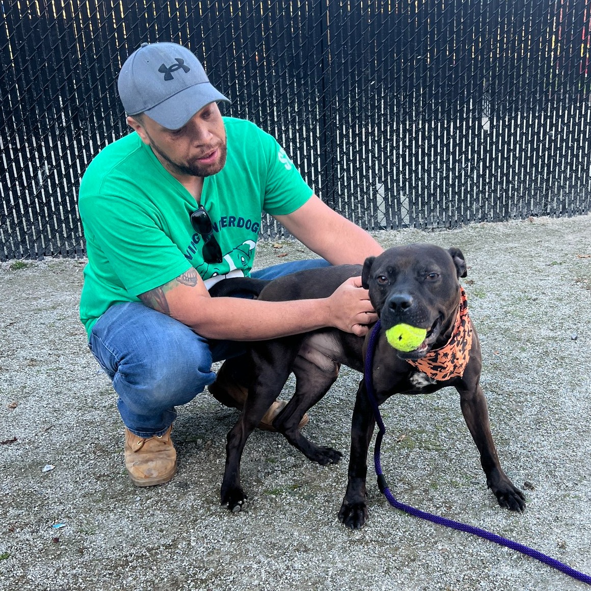 man and dog with ball in mouth