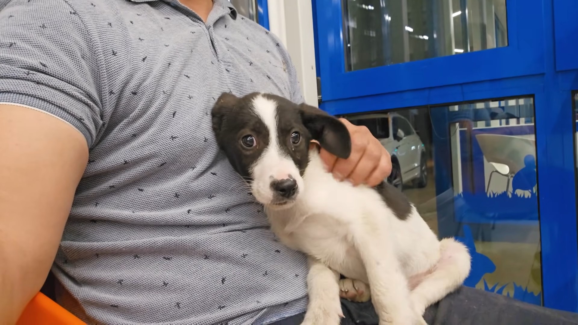 man and tiny dog
