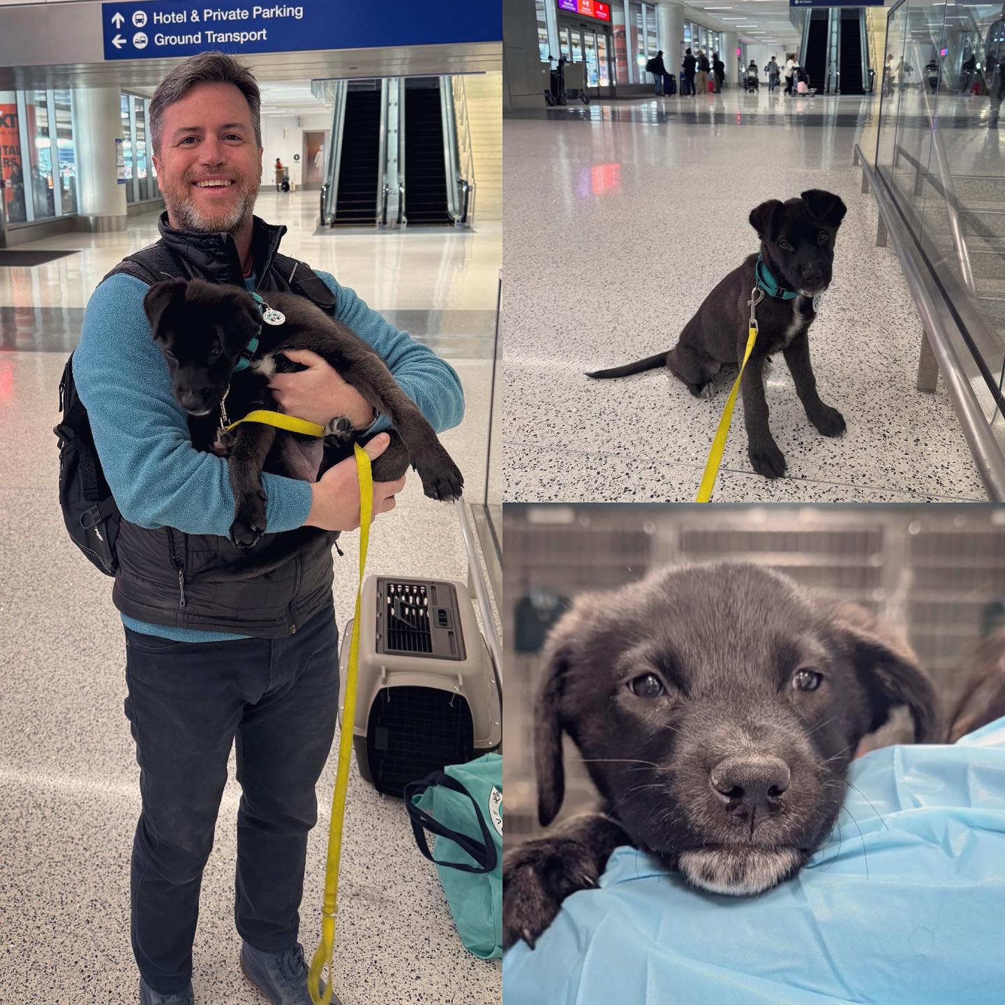 man holding a black puppy