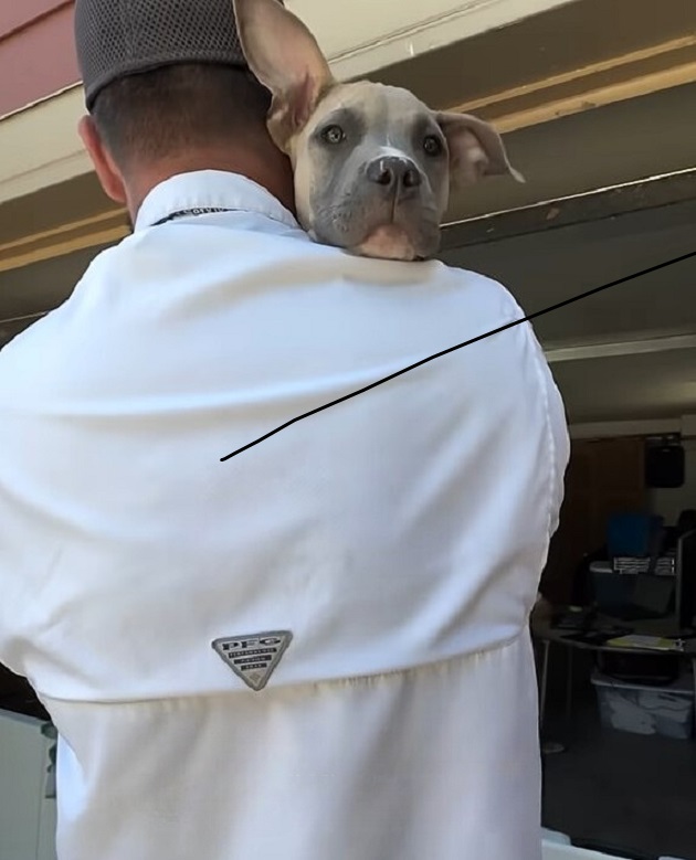 man holding a dog