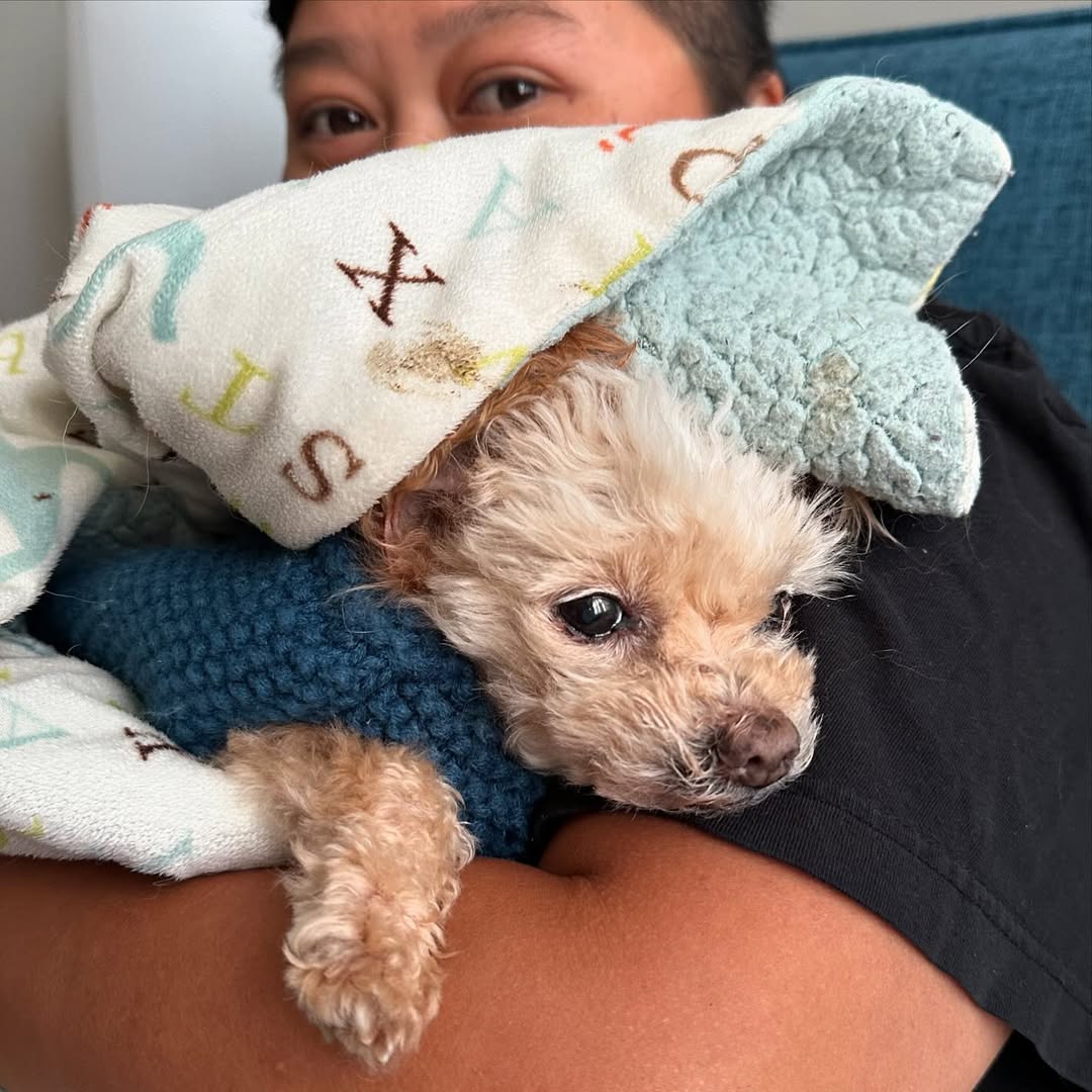 man holding a little dog in his arms