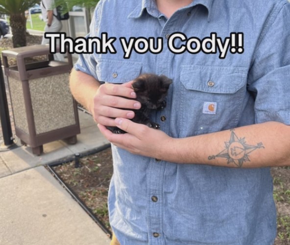 man holding a tiny kitten