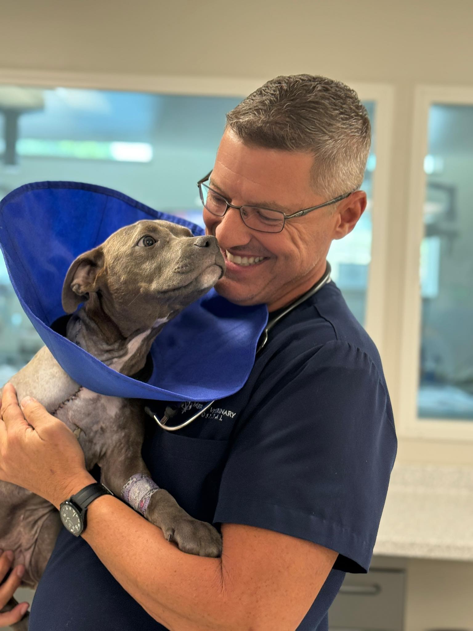 man holding an injured dog
